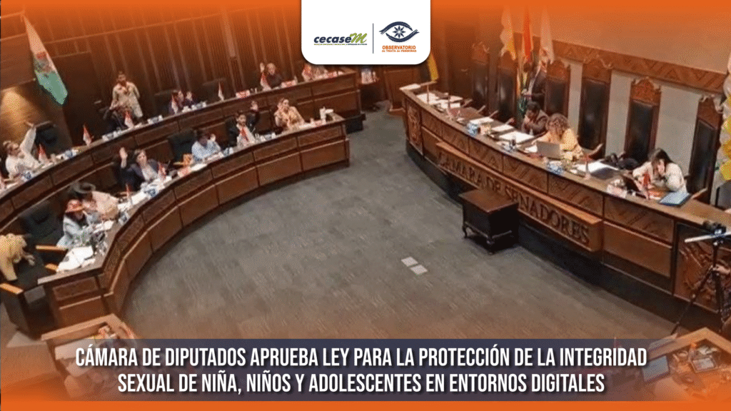 Cámara de Diputados aprueba Ley para la Protección de la Integridad Sexual de Niña, Niños y Adolescentes en Entornos Digitales
